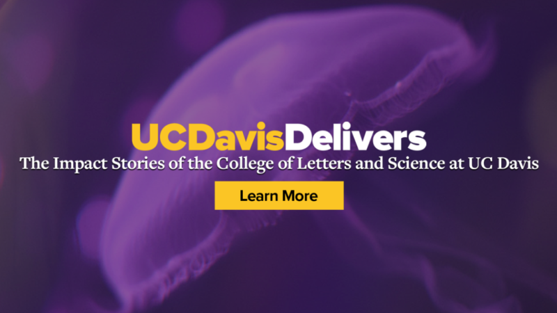A photo of a jellyfish with a purple overlay and the words "UC Davis Delivers: The Impact Stories of the College of Letters and Science at UC Davis: Learn More."