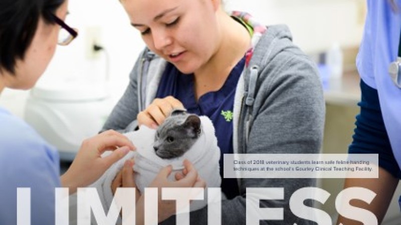 Limitless Photo