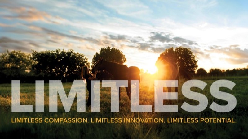 Limitless Logo