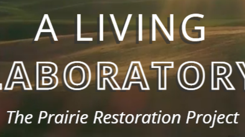 The Prairie Restoration Project Immersive Storytelling Microsite
