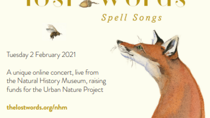 Spell Songs Concert in Support of the Urban Nature Project