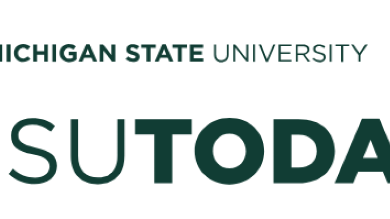 MSU Voter Turnout