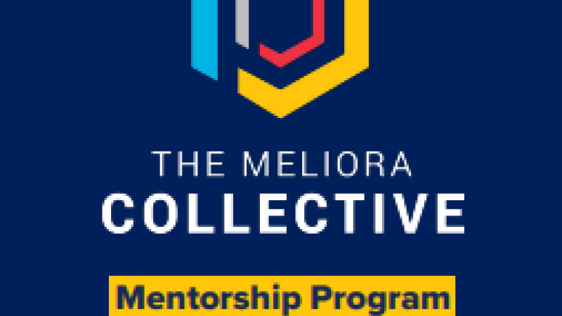 Mentorship Program Guide Flyer