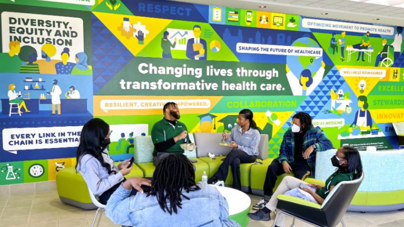 The SHP Interactive Mural and Wellness Project