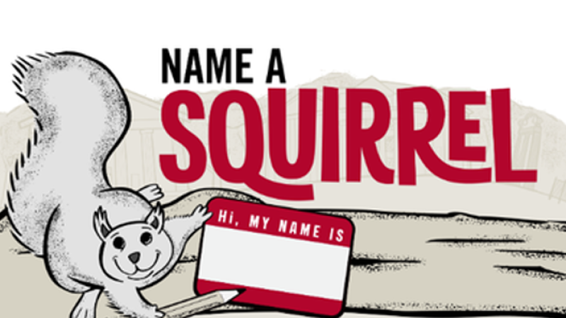 An illustration for UGA's Name a Squirrel campaign. It shows a squirrel holding a pencil and a blank "hi, my name is" name tag.