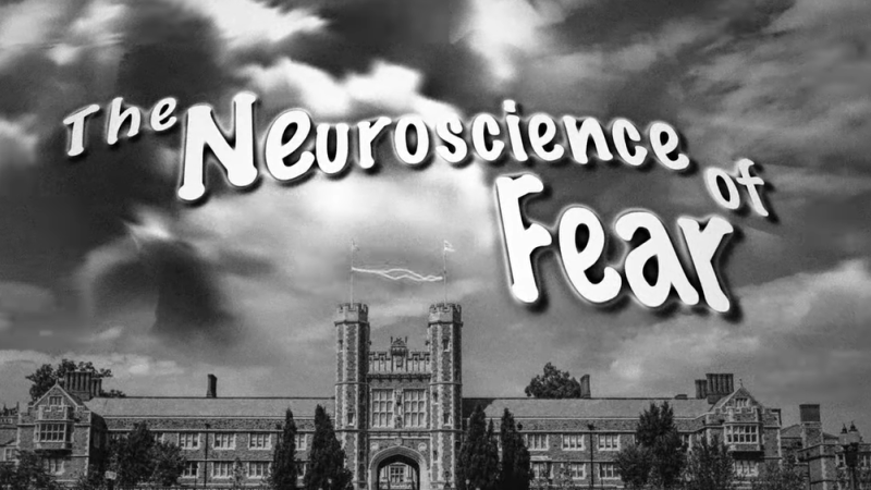 The Neuroscience of Fear