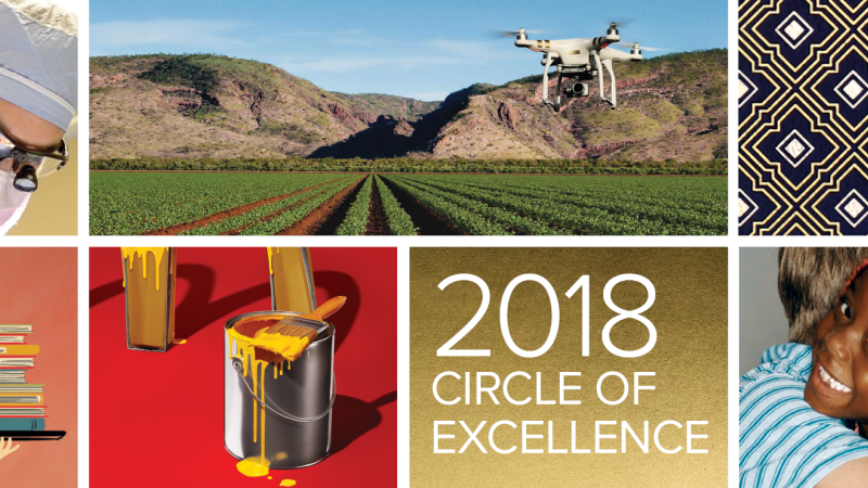 2018 Circle of Excellence Awards Grand Gold-Winning Entries