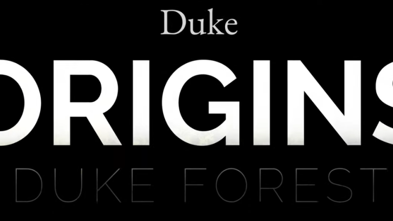 The Duke Forest