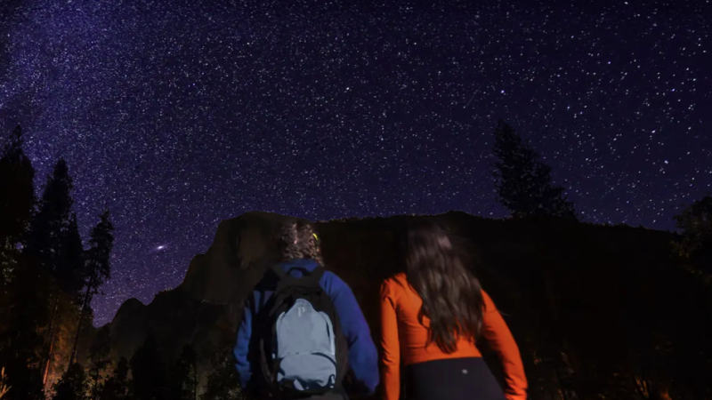 Two people hike uphill in the forest towards a starry sky.