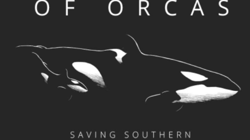 Saving Southern Resident Killer Whales