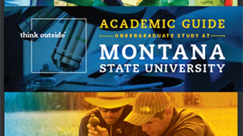 Think Outside - Montana State University Student Recruitment Package