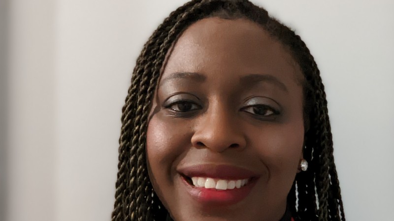 Temilade (Temi) Akin-Aina is Associate Vice President, Alumni Relations at Western University in London, Ontario, Canada.