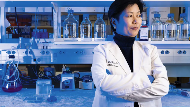 Kan Cao, a professor with UMD’s Department of Cell Biology and Molecular Genetics, poses for a photo in a lab wearing a white lab coat with her arms crossed.