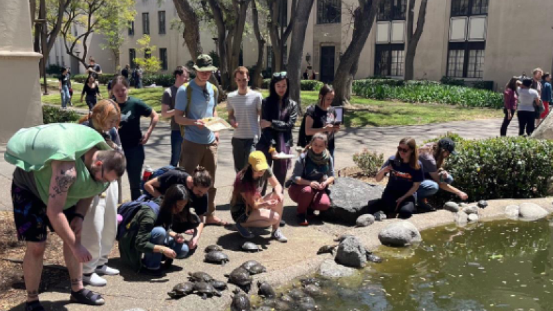A group of students gathers around Caltech's turtle pond for a feeding.