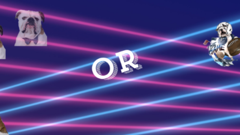 This or That Header