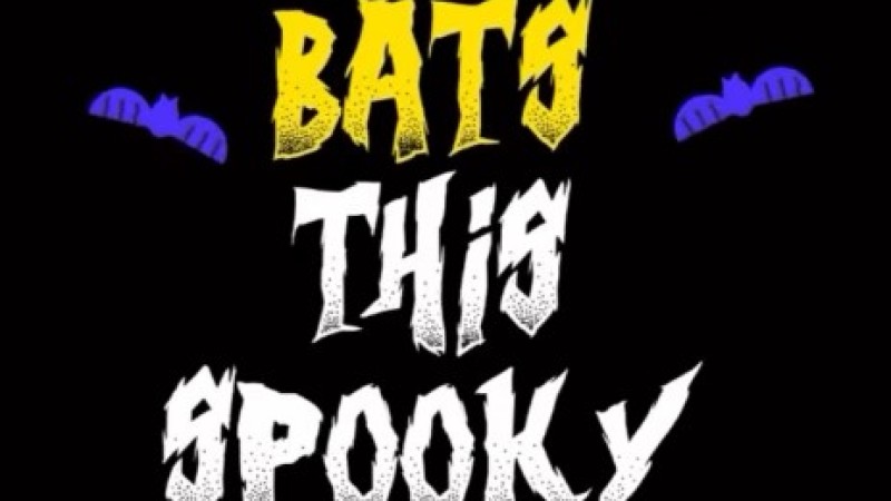 UCLA Bats Video