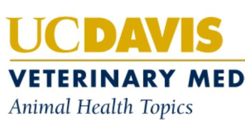 Animal Health Topics