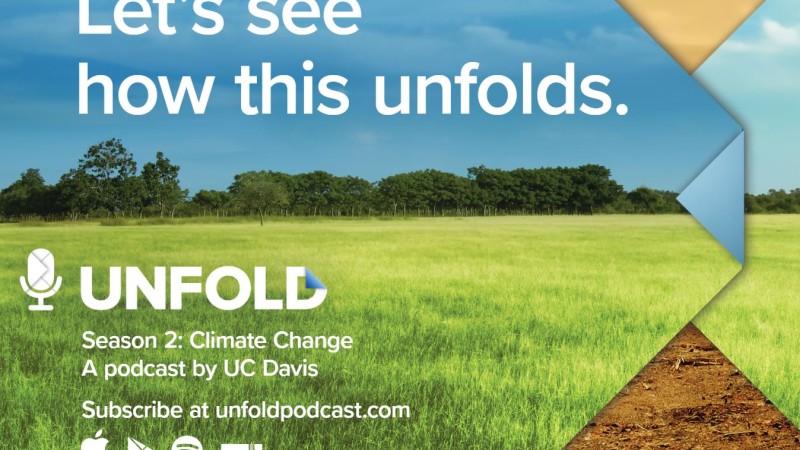 Unfold Airport Ads