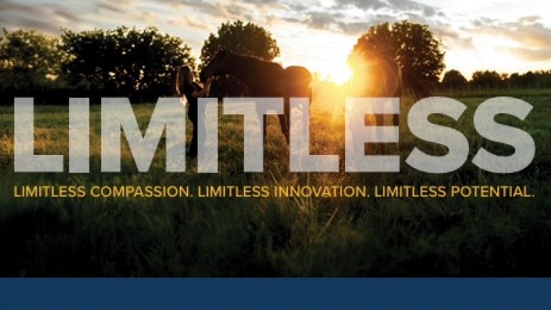 Limitless Logo photo