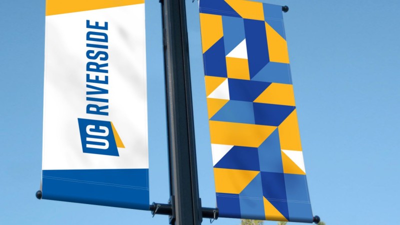 Brand Visual Identity Initiative