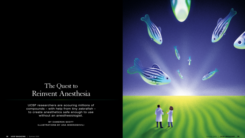 A magazine spread. On the left, a black background and white text that reads "The Quest to Reinvent Anesthesia." On the right, an illustration of two doctors standing in an open field staring at the horizon. In the sky are blue fish that look like they are swimming towards the sun on the horizon line.