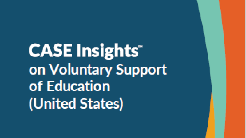 2023 CASE Insights VSE Report