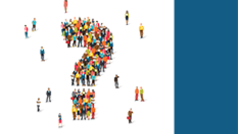 2019 VSE Report