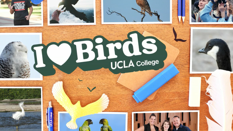 A collage of photos shows birds and members of the UCLA community. The words "I 'heart' Birds UCLA College" are also displayed.