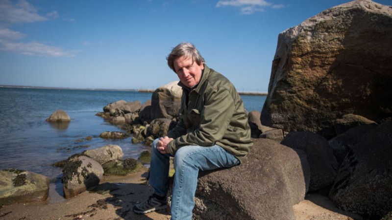 Cape Cod, Sharks, and Our New Reality
