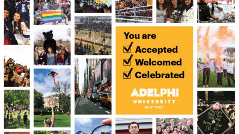 A Campus-Wide Transformation for Adelphi University: A Unifying Vision
