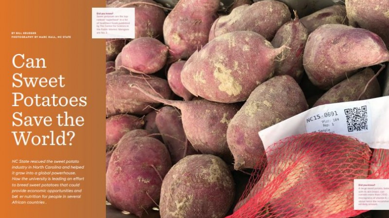 "Can Sweet Potatoes Save the World?" NC State Alumni Magazine, Winter 2018