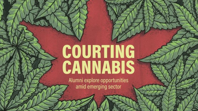 Courting Cannabis