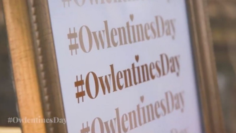 Owlentine’s Day: Capitalizing on Holiday Trends through Social Media