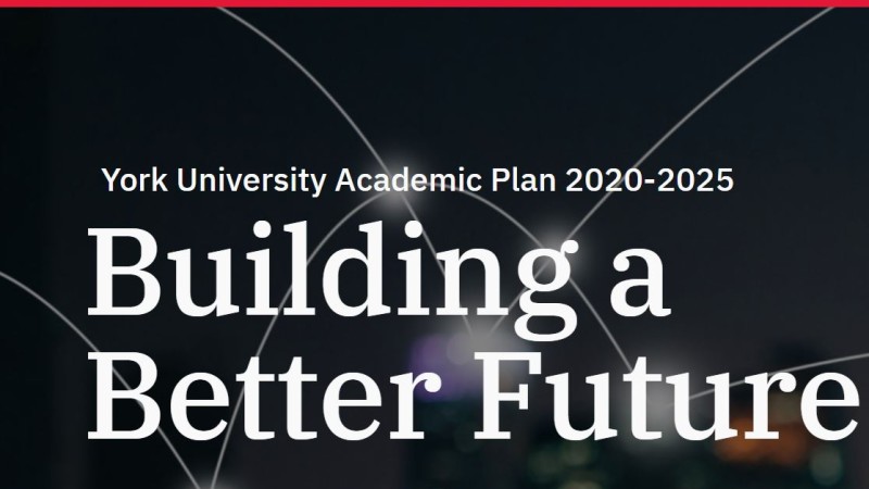 York University Website