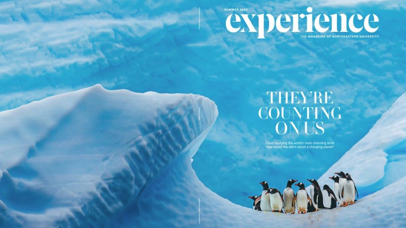 Experience Magazine - Magazine Design