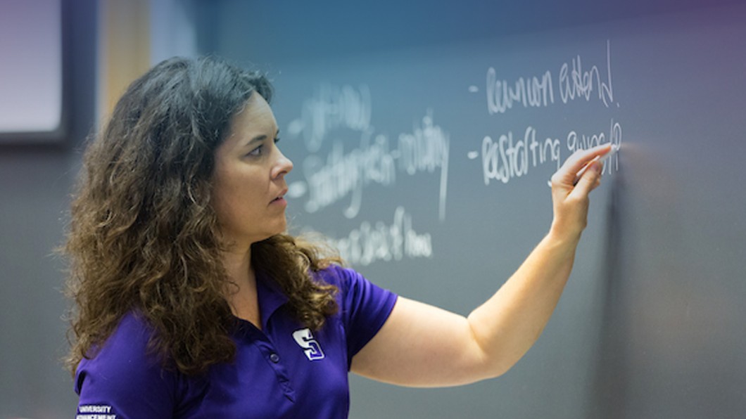 image of a CASE volunteer teaching a conference session